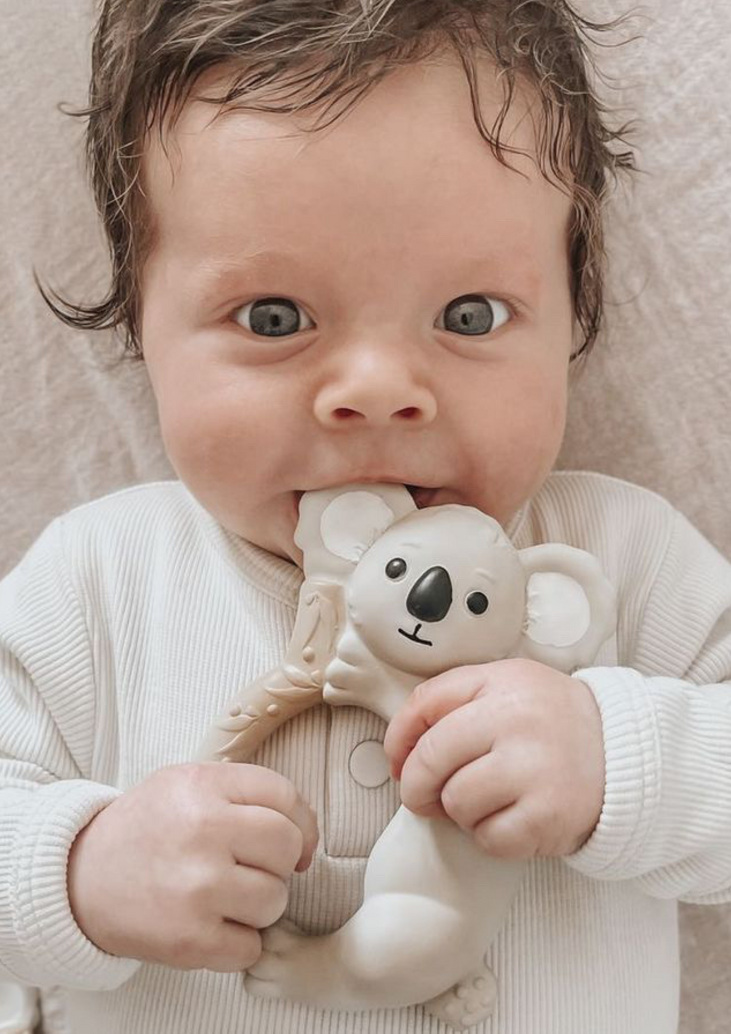 Banks the Koala - Teething Ring